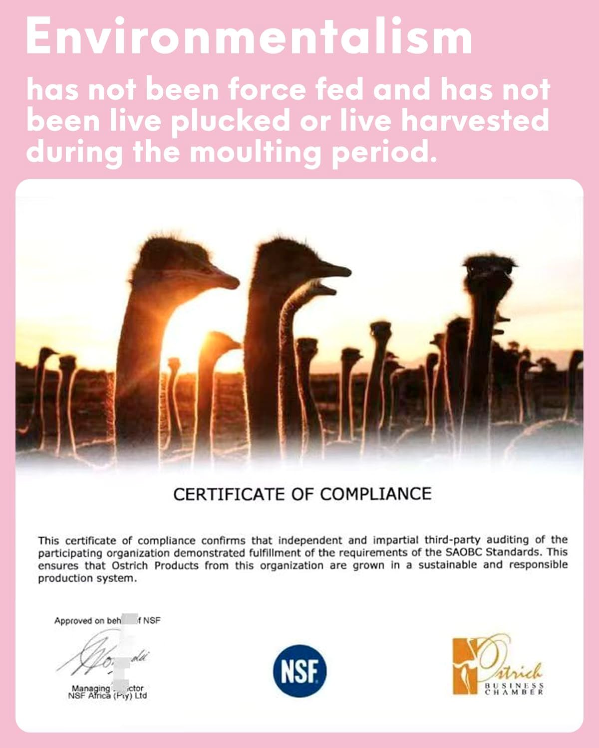 NEWONG 30pcs Light Pink Ostrich Feathers Natural Bulk 11-14inch(28-35cm) Vase Craft Wedding Home Party Centerpieces Christmas Day Decoration