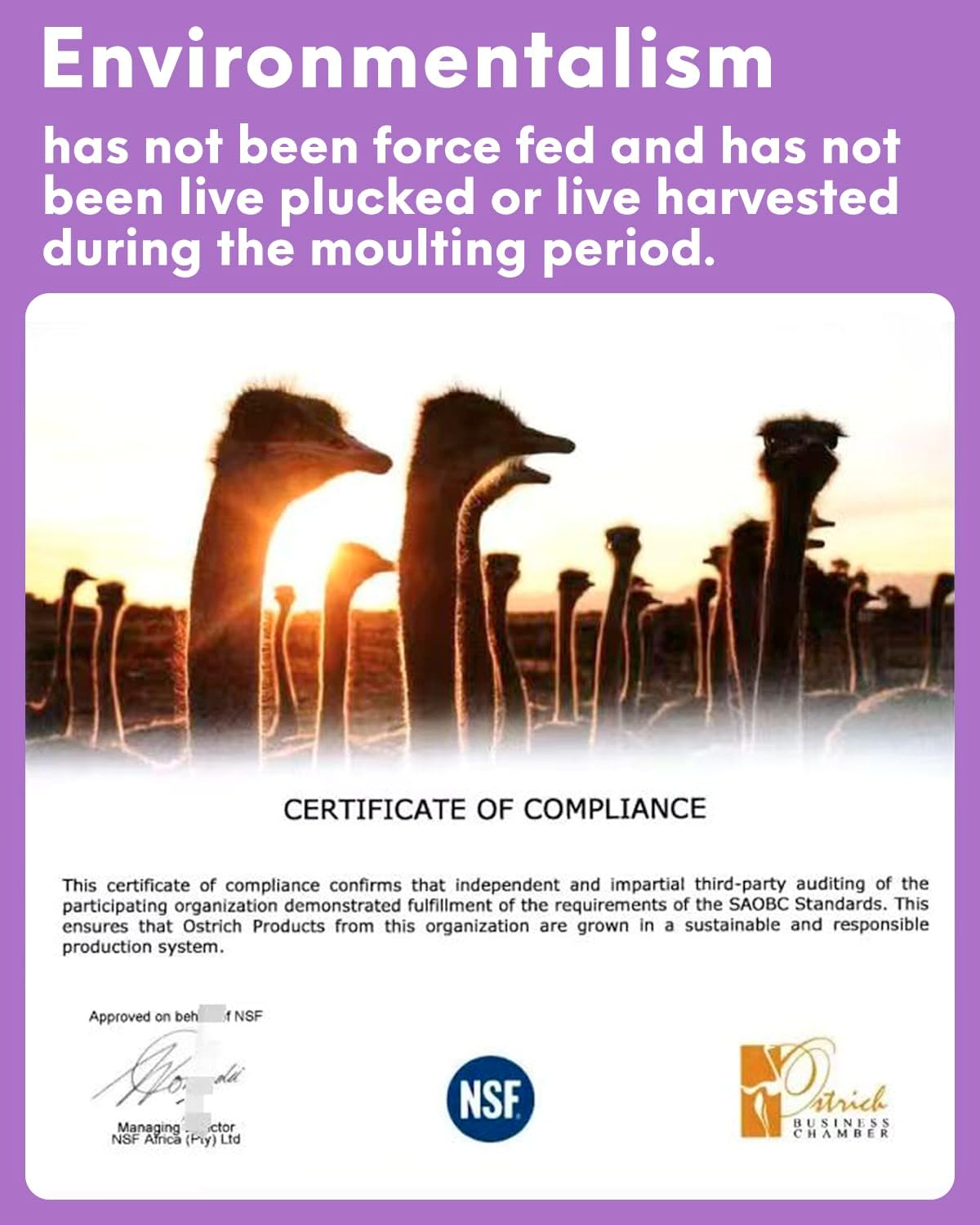 NEWONG 30pcs Light Purple Ostrich Feathers Natural Bulk 8-10in(20-25cm) Vase Craft Wedding Home Party Centerpieces Christmas Day Decoration