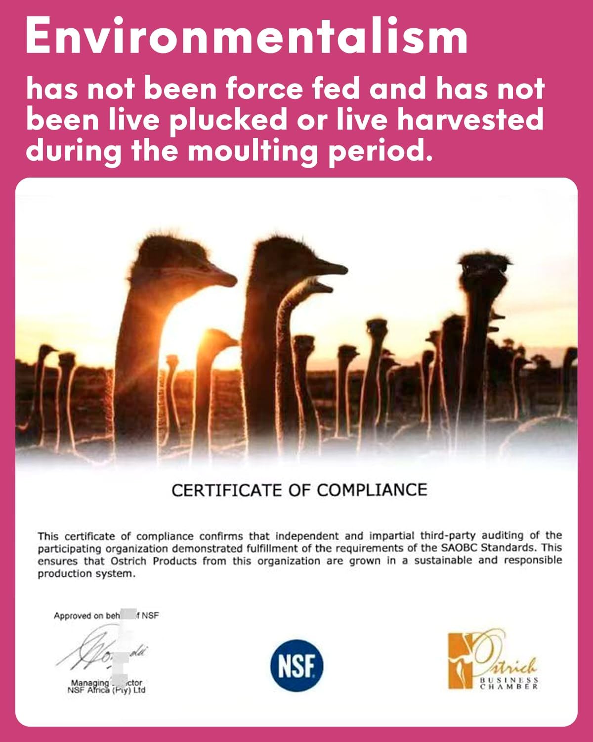 NEWONG 30pcs Pink Ostrich Feathers Natural Bulk 8-10inch(20-25cm) Vase Craft Wedding Home Party Centerpieces Christmas Day Decoration