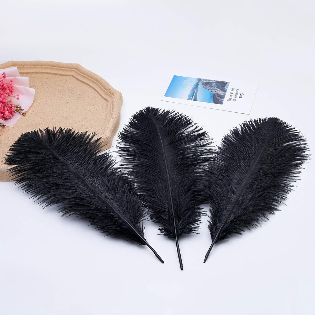 Ballinger Black Large Ostrich Feathers - 12Pcs 14-16inch Large Feathers for Vase, Wedding Party Centerpieces and Halloween Home Decor