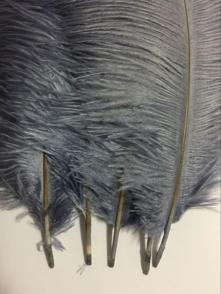 KOLIGHT® 40pcs 12''~14''(30~35cm) Natural Ostrich Feathers for DIY Home Wedding Party Office Decoration (Gray)