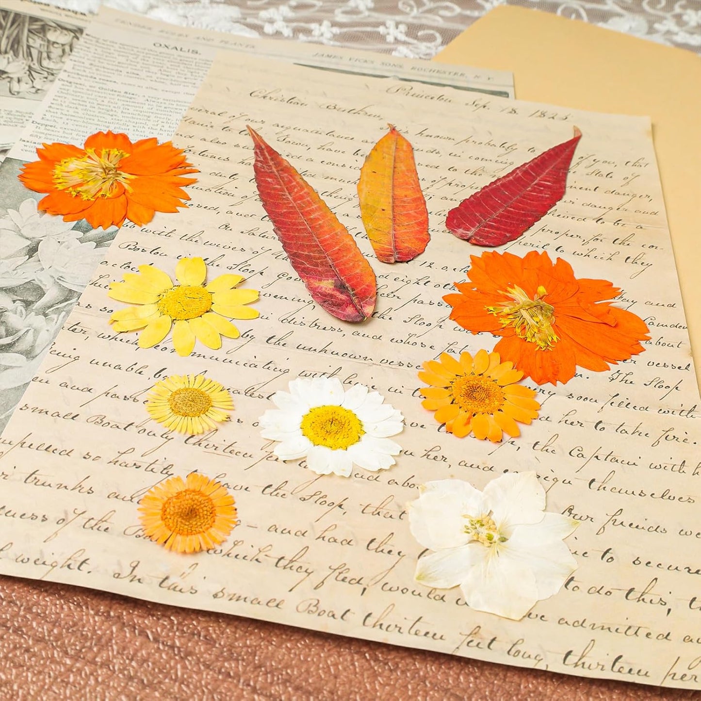 120Pcs Dried Pressed Flowers for Resin Mould Dry Flower Real Leaves Bulk with Tweezers Natural Herbs Kit for Scrapbooking DIY Art Crafts Candle Jewelry Making Nails Floral Decoration (Delicate Color)