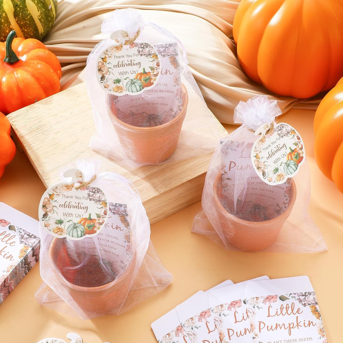 Ctosree 50 Sets Fall Baby Shower Seed Packet for Guests a Little Pumpkin is on The Way Gifts Include Self Adhesive Seed Packets Flowerpot Thank You Tags Organza Gift Bags for Baby Shower Party Favors