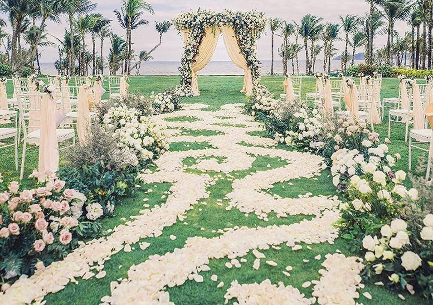 ocharzy 1000pcs Rose Petals Artificial Silk Flower Rose Petals for Wedding Decorations,Romantic Night,Valentine's Day, Parties,Events(Separated, Cream White)