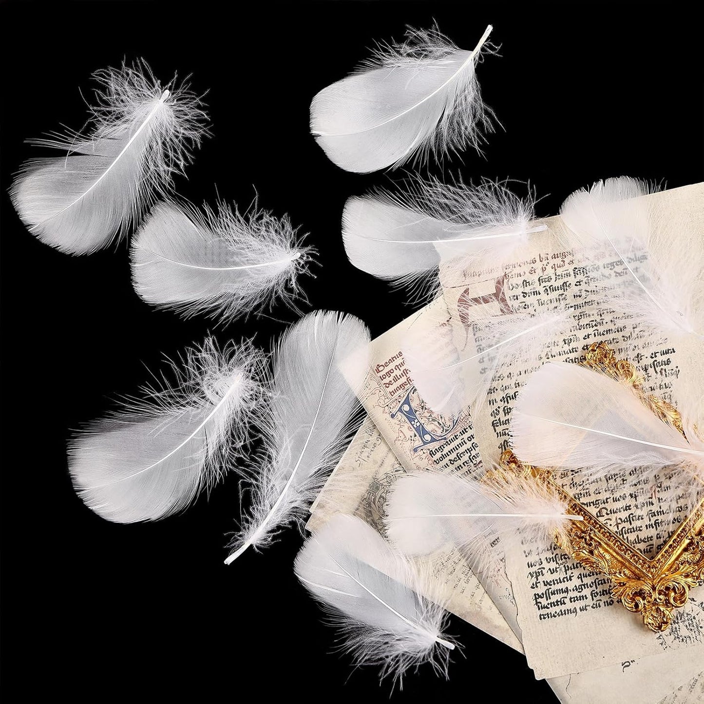 THARAHT 360pcs White Feathers 3-5 inch Craft Feathers Assorted Rainbow Colors Feathers for Kids for DIY Handmade Wedding Home Party Decorations Natural Feather