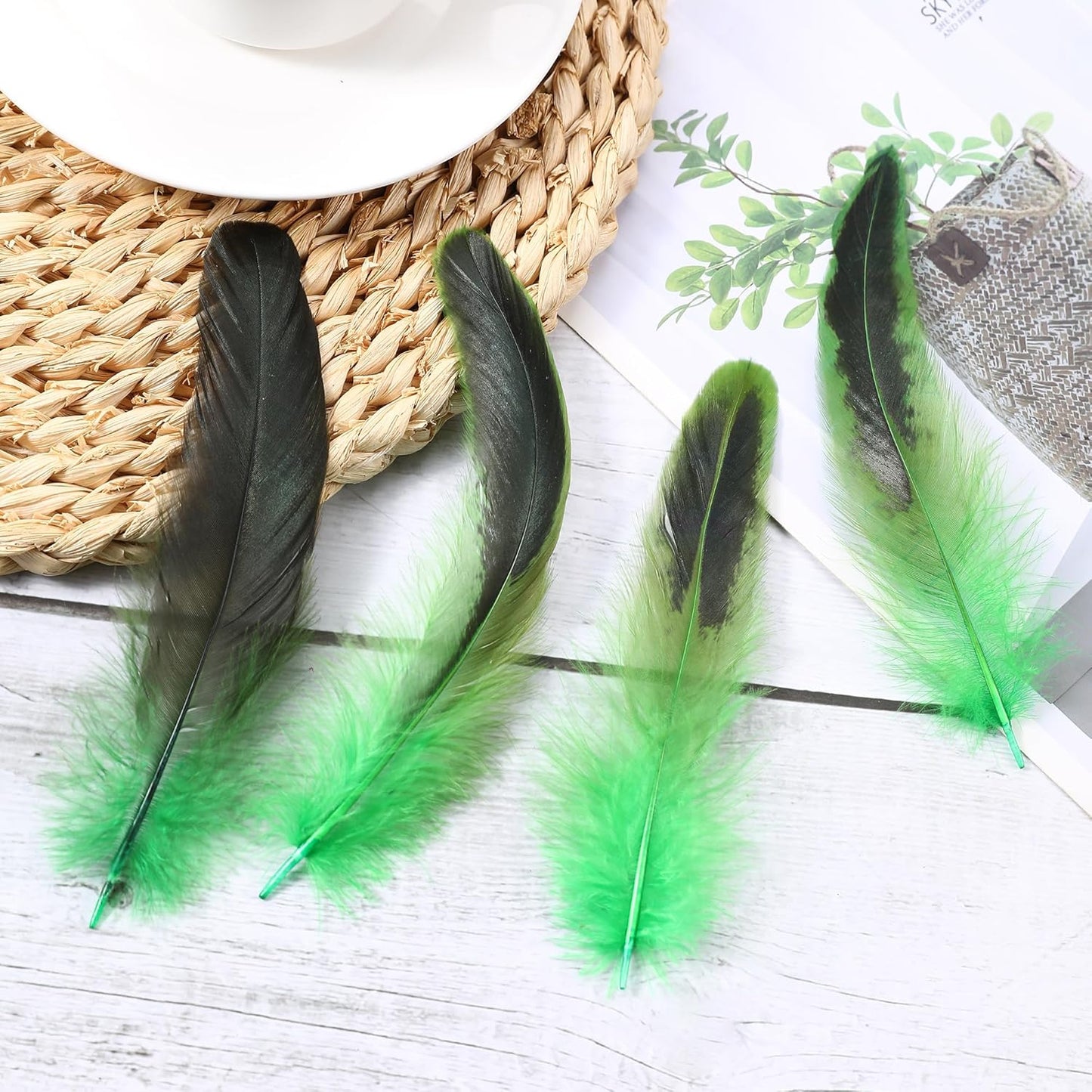 SOGUGOM Green Rooster Tail Feathers - 200 pcs 5-7 inch Natural Rooster Tail Feathers Bulk for Mardi Gras, Costume and Party(Green)