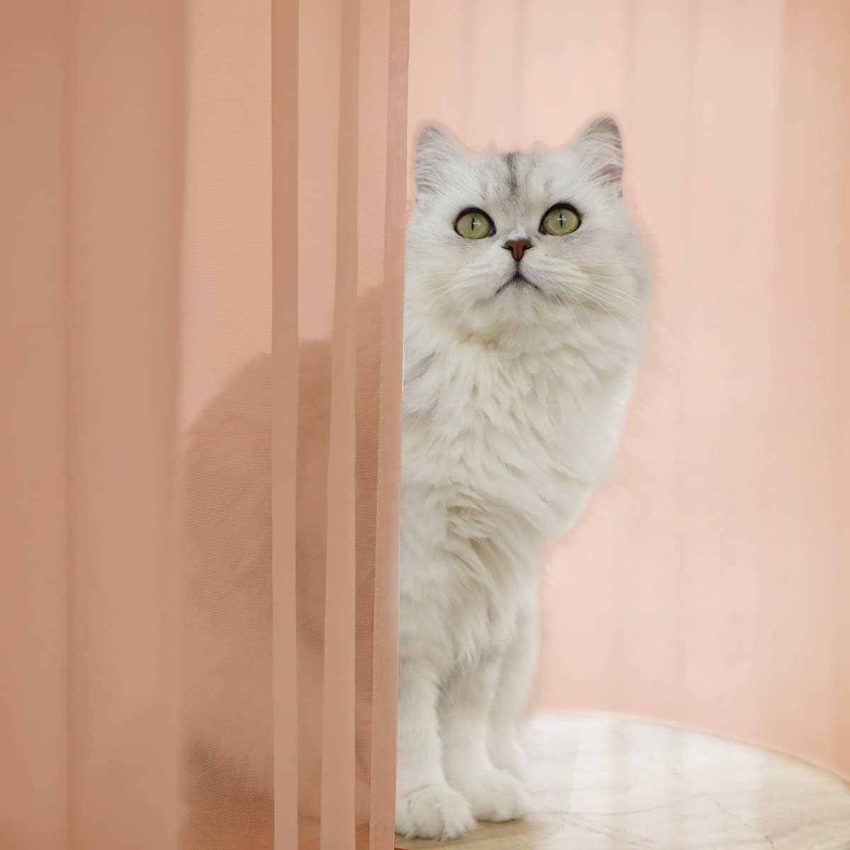 Window Brown Sheer Curtains 60 Inches Width 63 Inches Long 2 Panels Sheer Curtain Clear Curtains Basic Rod Pocket Panel for Home Living Room Bedroom Kids Room Yard Patio Parlor Sliding