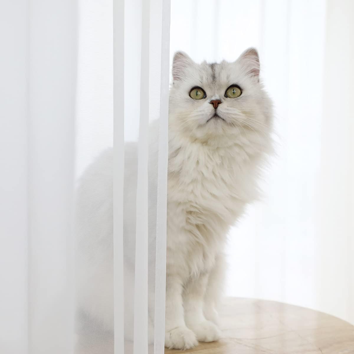 Window White Sheer Curtains 60 Inches Width 120 Inches Long 2 Panels Sheer Curtains Clear Curtains Basic Rod Pocket Panel for Home/Living Room/Bedroom/Kids Room