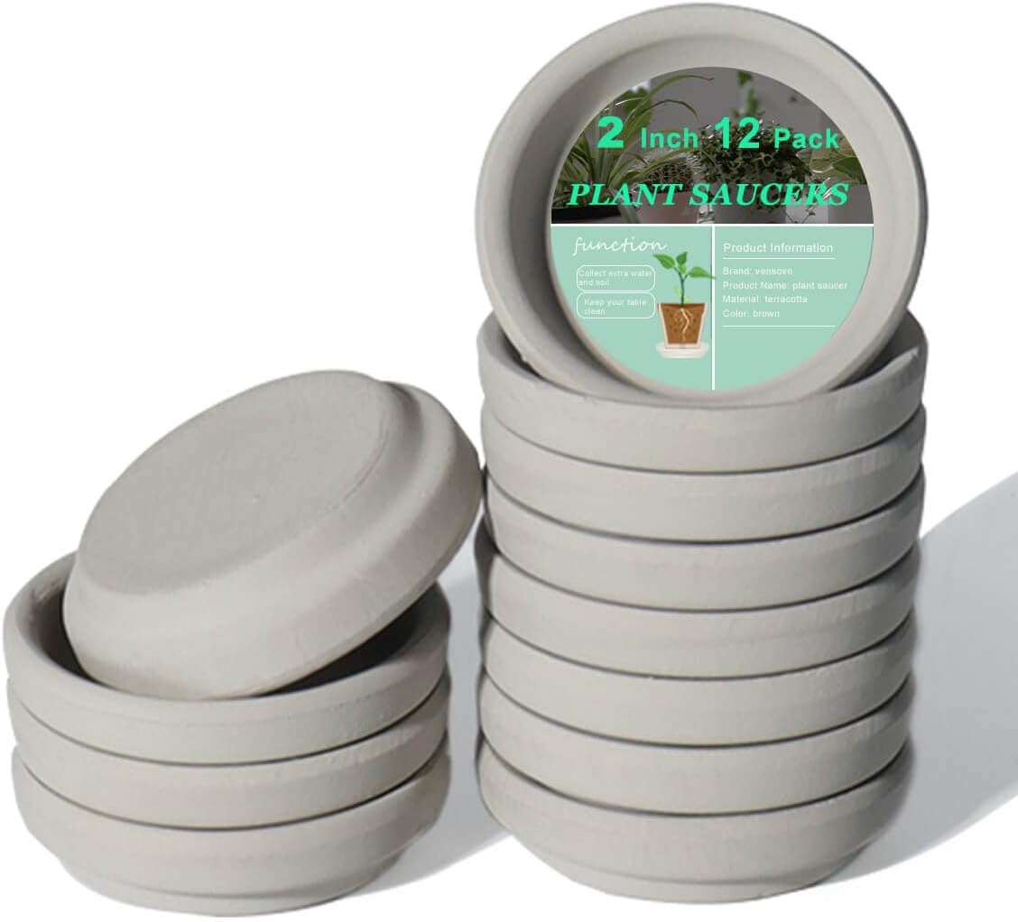 vensovo 2 Inch Grey Terracotta Plant Saucer Pots Tray - 12 pcs Mini Planter Saucers for Indoor & Outdoor Plants, Small Clay Trays Perfect for 1 Inch 1.5Inch Flower Pot