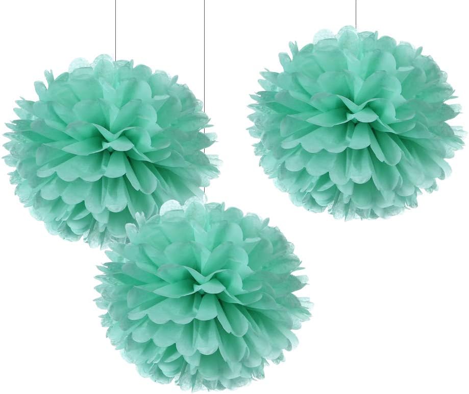 WEVEN 12" Mint Tissue Pom Poms DIY Hanging Paper Flower Balls for Party Decoration, Pack of 12