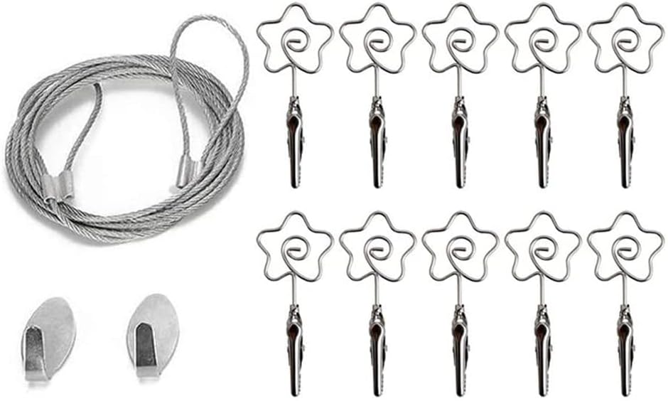 Multi-Purpose Steel Wall Hanging Photo Display Cable Wire Rod with 12 Adjustable Clips for Hanging Photos Notes Postcard and Artworks (Flower)