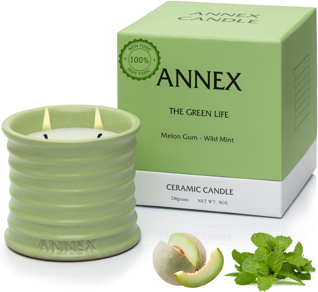 Scented Luxury Candles Outdoor Mosquito Bug Repellent Ceramic Jars, Soy Wax | The Green Life, Large Natural Candle - Green Melon & Peppermint | Non Toxic, 2 Wicks, Reusable Jar
