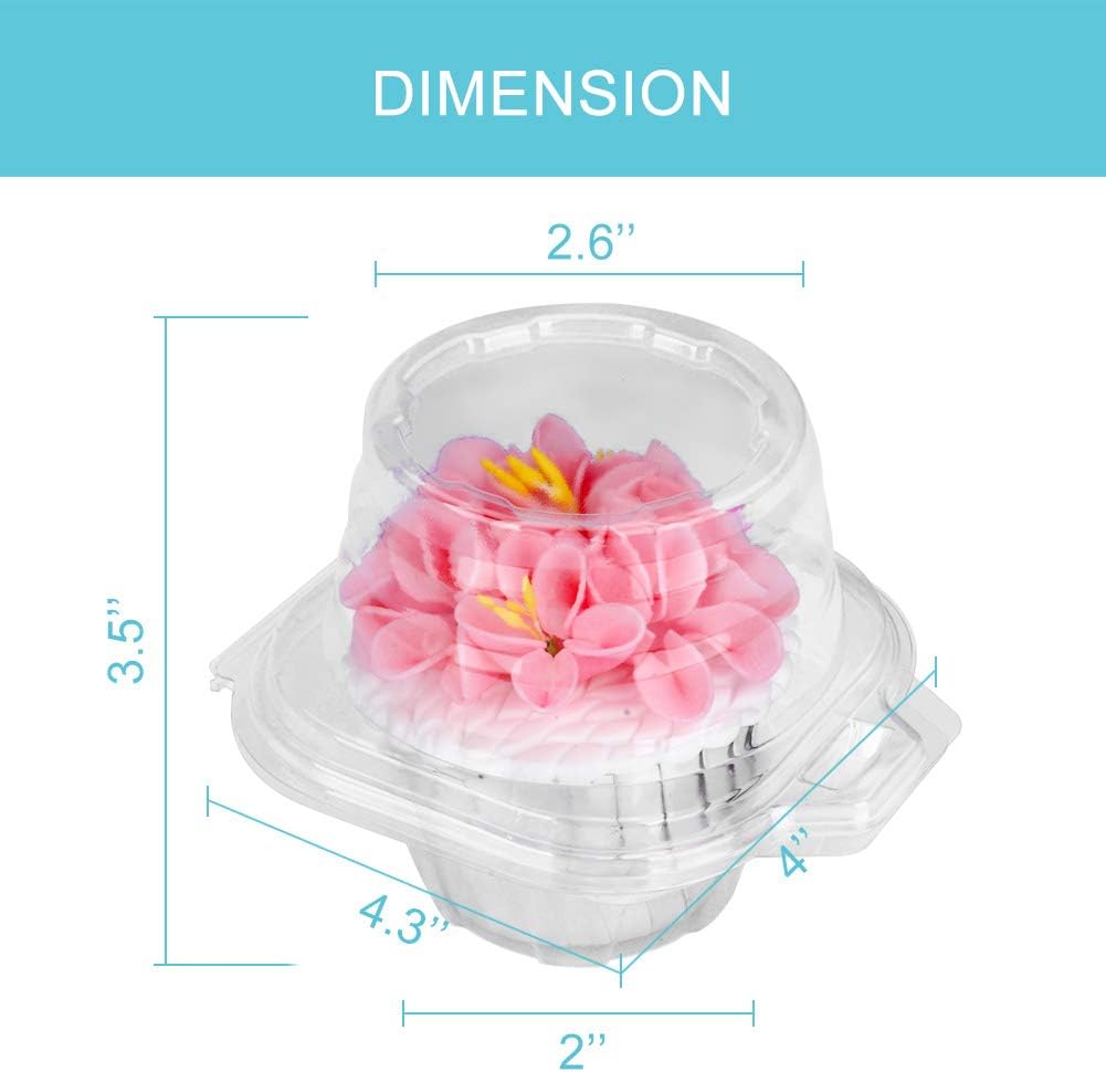 150 Pcs Cupcake Boxes Plastic Individual Cupcake Containers Single Cupcake Carrier with Connected Airtight Dome Lid for Party