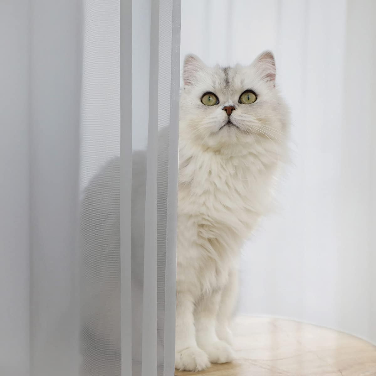 Window Grey Sheer Curtains 60 Inches Width 145 Inches Long 2 Panels Sheer Curtain Clear Curtains Basic Rod Pocket Panel for Home Living Room Bedroom Kids Room Yard Patio Parlor Sliding