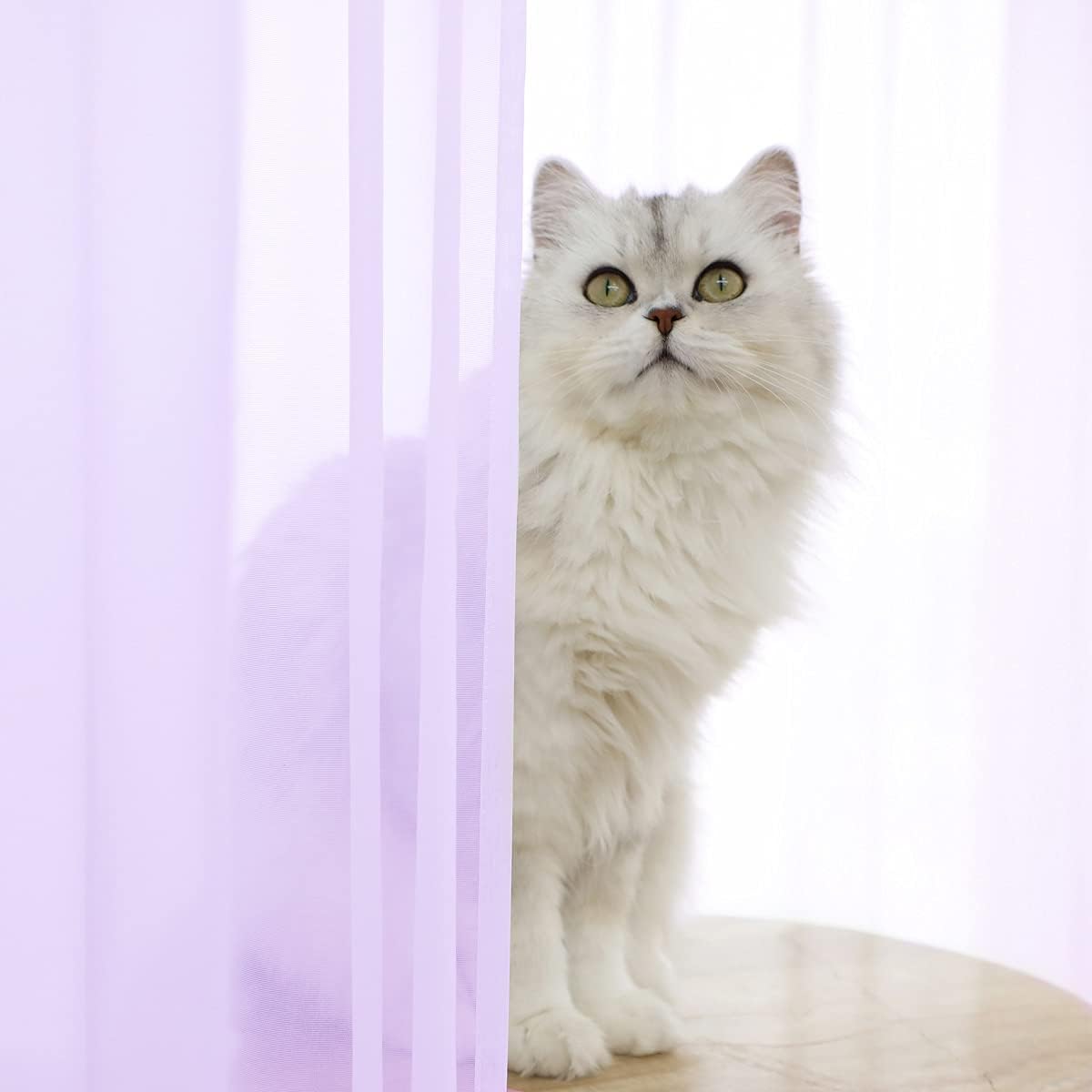 Window Purple Sheer Curtains 48 Inches Width 63 Inches Long 2 Panels Sheer Curtain Clear Curtains Basic Rod Pocket Panel for Home Living Room Bedroom Kids Room Yard Patio Parlor Sliding