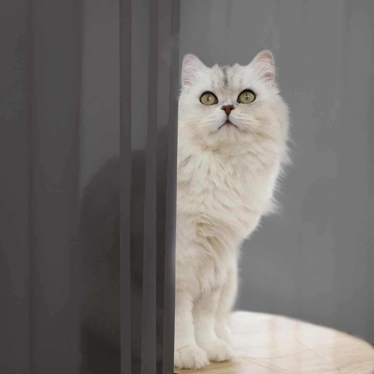 Window Dark Gray Sheer Curtains 72 Inches Long 2 Panels Sheer Curtain Basic Rod Pocket Panel for Bedroom Children Living Room Yard Kitchen (Dark Gray, 52" W x 72" L | 2 pcs)