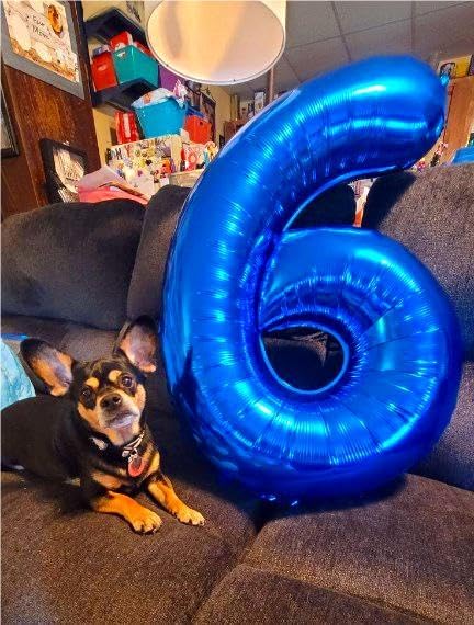 Navy Blue Jumbo Number 6 Balloon 40 Inch, Boy Girl 6th Birthday Supplies, Foil Helium 6 16 26 46 66 Birthday Giant Balloon, Mylar Blue Number Balloons Anniversary Decorations
