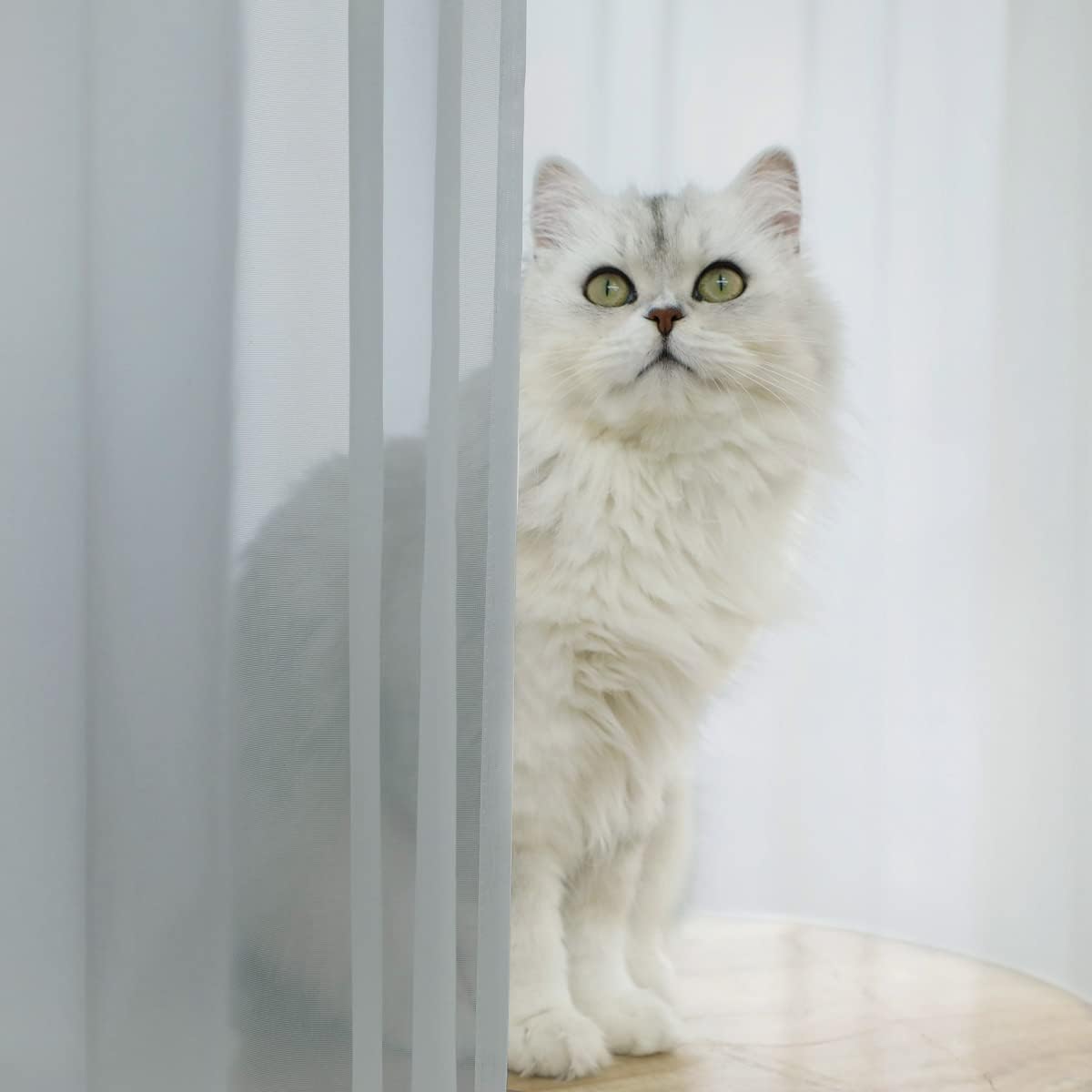 Window Light Gray Sheer Curtains 72 Inches Long 2 Panels Sheer Curtain Basic Rod Pocket Panel for Bedroom Children Living Room Yard Kitchen (Light Gray, 52" W x 72" L | 2 pcs)