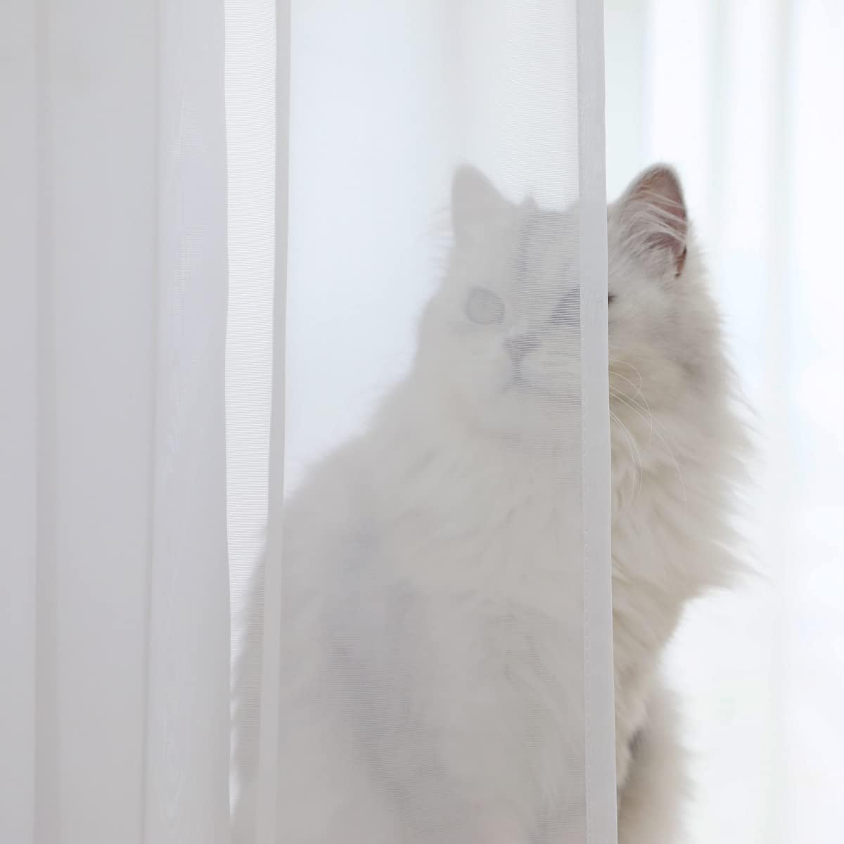 Window Ivory Sheer Curtains 120 Inches Long 2 Panels Sheer Curtain Basic Rod Pocket Panel for Bedroom Children Living Room Yard Kitchen (Ivory, 52" W x 120" L | 2 pcs)