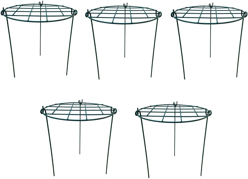 12 x 16 inch Poeny Cage Grow Through Grid Plant Brace Flower Support Rings, Pack of 5 Round Metal Plant Stakes Rings, Strong Large Garden Supports for Flowers, Peonies, Rose, Lily