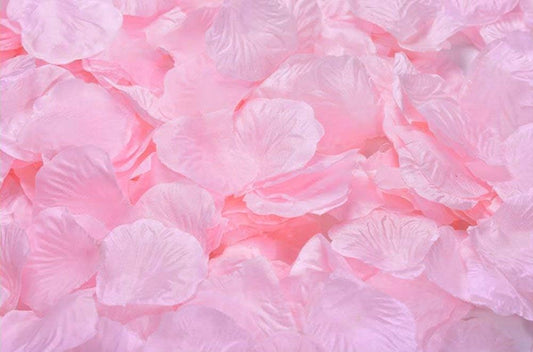 ocharzy 1000pcs Rose Petals Artificial Silk Flower Rose Petals for Wedding Decorations,Romantic Night,Valentine's Day,Parties,Events(Separated, Light Pink)
