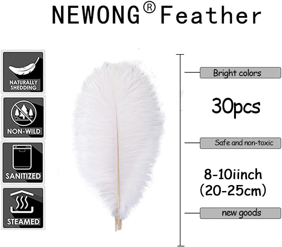 NEWONG 30pcs Mint Green Ostrich Feathers Natural Bulk 8-10in（20-25cm） Vase Craft Wedding Home Party Centerpieces Christmas Day Decoration…