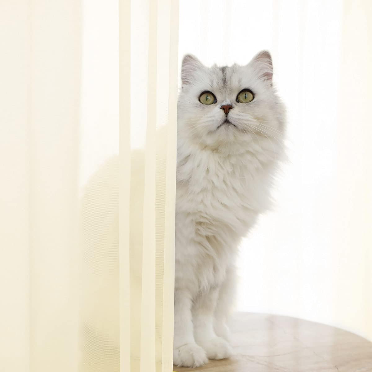 Window Light Yellow Sheer Curtains 120 Inches Long 2 Panels Sheer Curtain Basic Rod Pocket Panel for Bedroom Children Living Room Yard Kitchen (Light Yellow, 52" W x 120" L | 2 pcs)