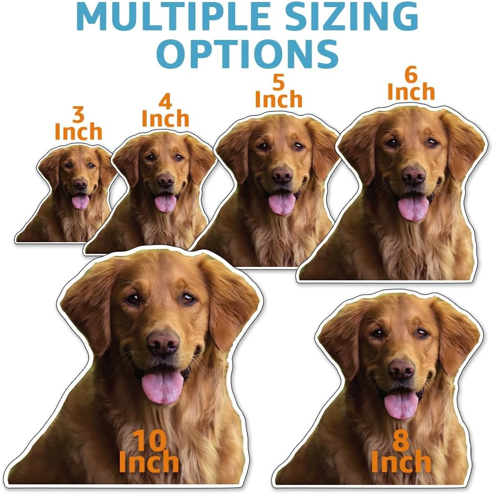 Custom Photo Magnet - Personalized Fridge Car Locker Cutout Magnets - Magnetic Logos Photos Images Designs - Contoured Cutline - Printlabz