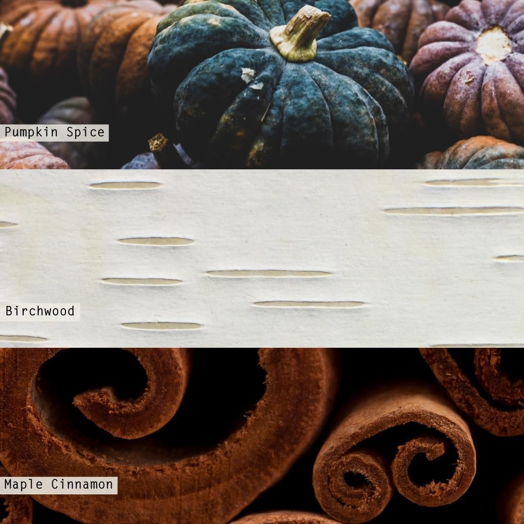 ILLUME Noble Holiday Midnight Pumpkin Small Crackle Glass Candle