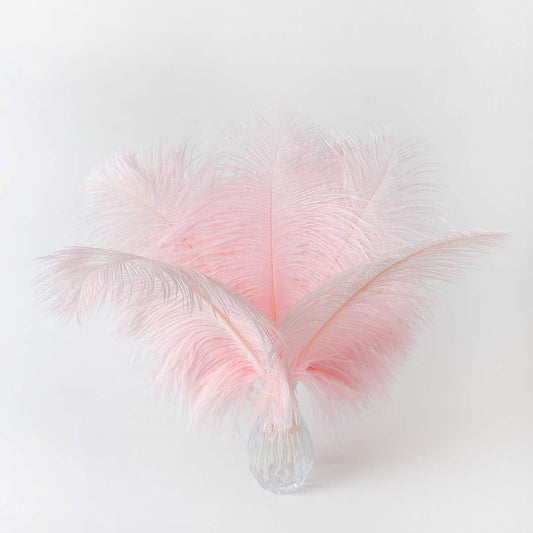Ballinger Light Pink Ostrich Feathers - 24Pcs 8-10inch Feathers for Crafts,Party Centerpieces,Wedding and Home Decor