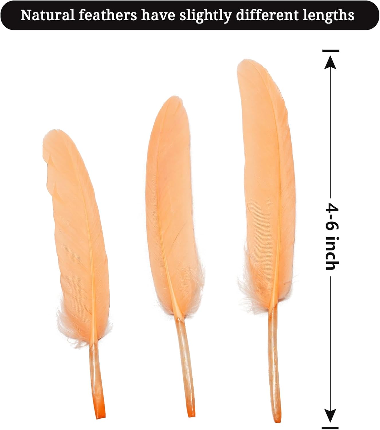 FeelfunFeather 120pcs Champagne Goose Cochettes Feather Natural Bulk 4-6 inch 10-15cm for Wedding Party Christmas Decorations DIY Crafts Goose Cochettes Feather