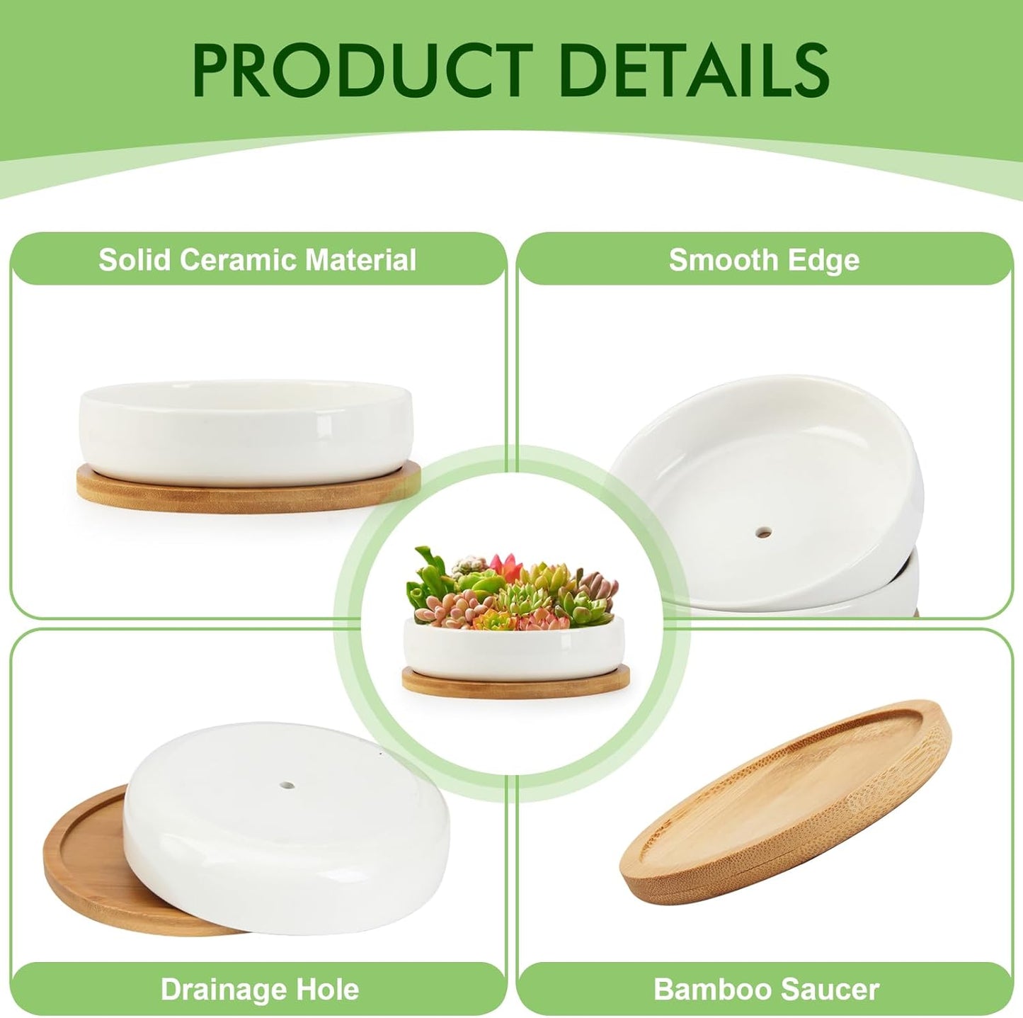 ZOUTOG Succulent Pots,6 Inch Succulent Planters with Drainage and Tray,White Ceramic Planters for Indoor Plants,Round Shallow Flower Plant Pots,6 Pack