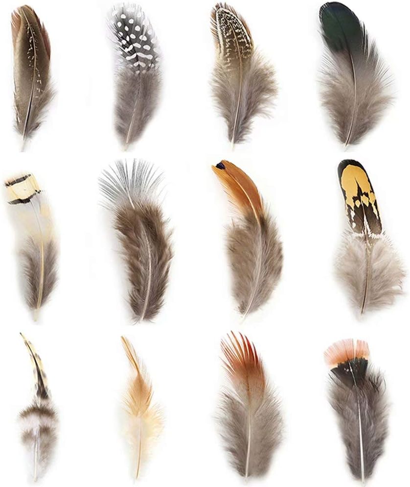 360pcs 12 Styled Natural Feathers Assorted Mixed Feathers for Jewelry and Dream Catcher Crafts