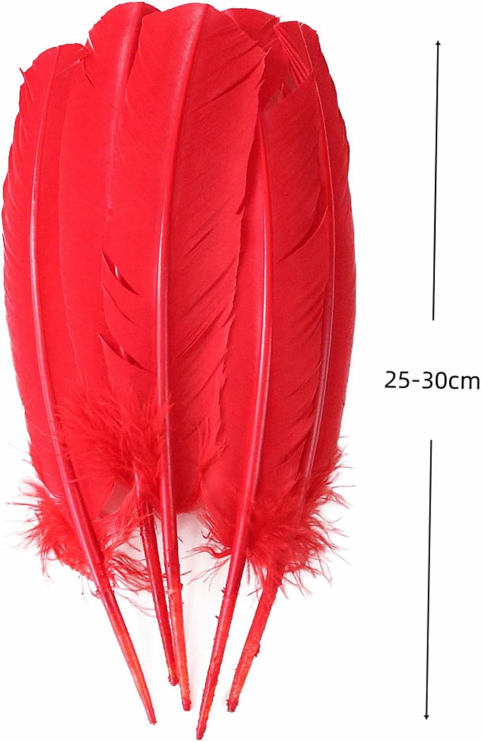 Red Turkey Feathers,22 Pcs Natural Feathers Bulk Long 10-12 inch (25-30cm),Turkish Feather for Crafts DIY Wedding Home Party Mardi Gras Decorations (Red)