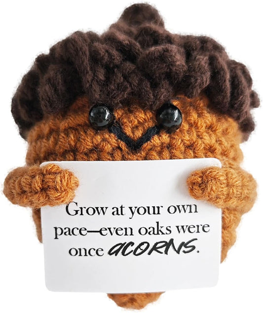 Emotional Support Crochet,Cute Acorn Crochets Pattern,Handmade Crochet Acorn Birthday Gift for Friend,Besties,Brother,Customized Graduation Gift,School Start Gifts