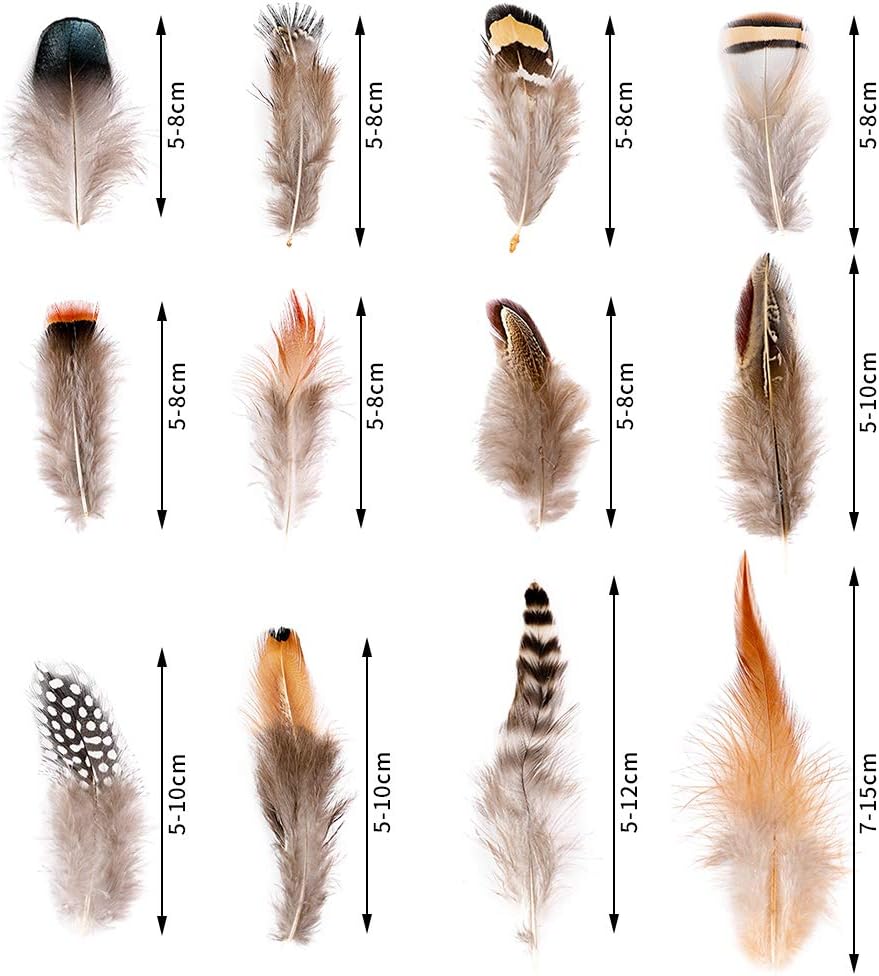 Ballinger 240pcs 12 Styled Natural Feathers Assorted Mixed Feathers for Jewelry and Dream Catcher Crafts Decoration