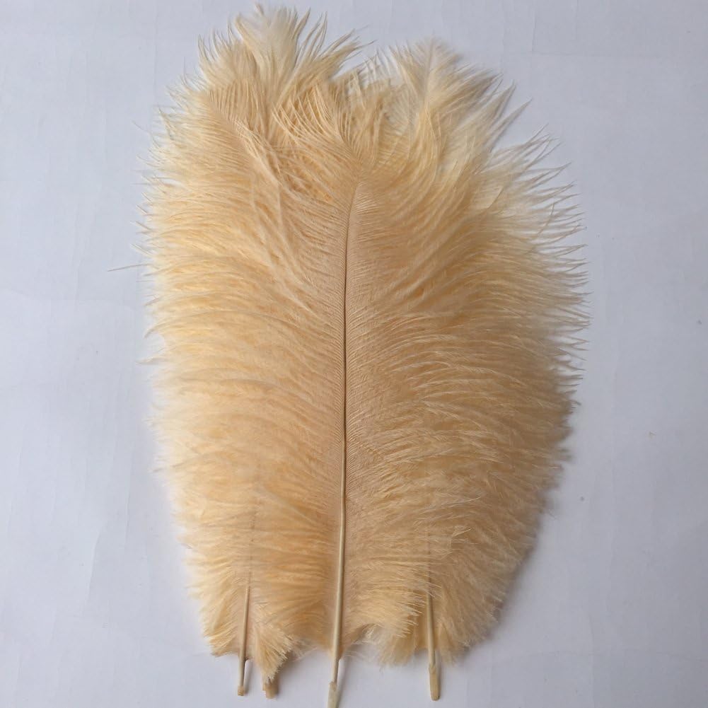 KOLIGHT 40pcs 12''~14''(30~35cm) Natural Ostrich Feathers for DIY Home Wedding Party Office Decoration (Champagne)