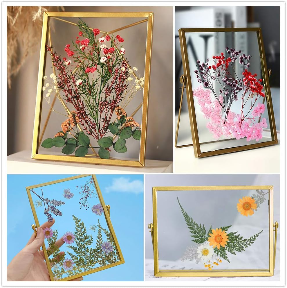 Vignee Real Dried Pressed Leaf Flowers-Multiple Colorful Pressed Flowers Daisies for Craft Resin Jewelry Making Art Craft DIY（White&Light Pink）