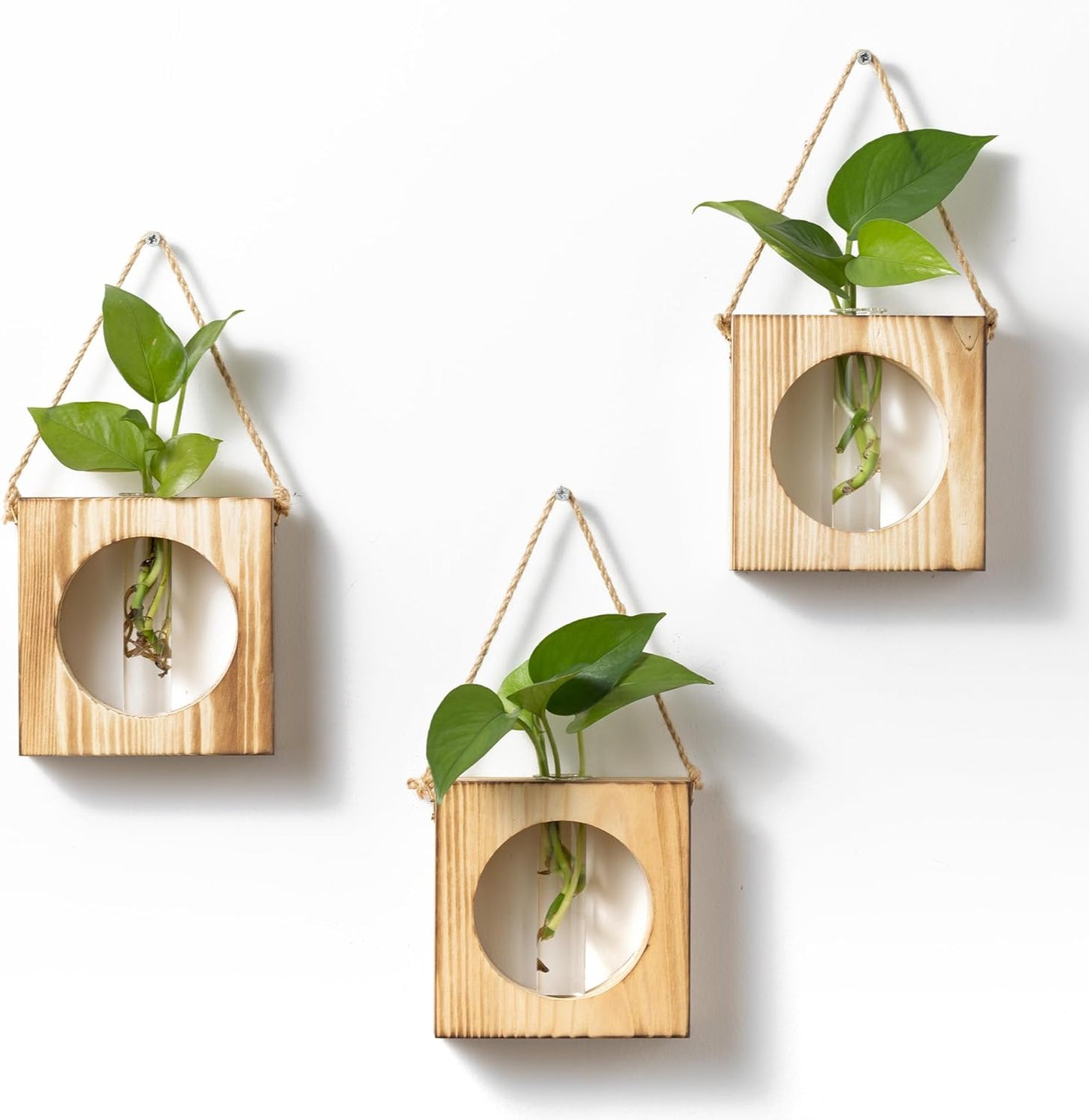 · GARDEN REPUBLIC · Propagation Stations Set of 3 - Propagation Vases for Plants - Hanging Wooden Wall Planter and Glass Test Tubes - Indoor Plant Holder, Hydroponic Decor