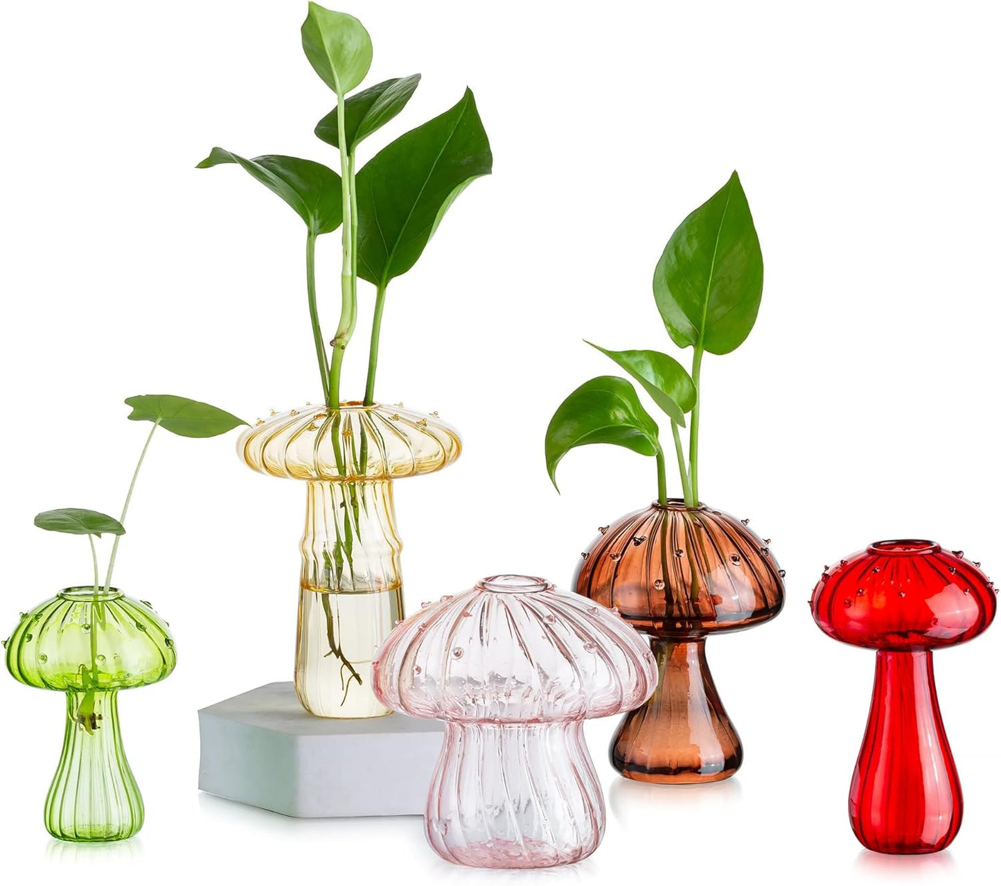 Glasseam Mushroom Glass Planter, Set of 5 Colored Plant Propagation Station, Mini Terrarium for Plants, Unique Small Glass Vase for Flowers, Cute Hydroponic Indoor Planters Gifts for Women Room Decor