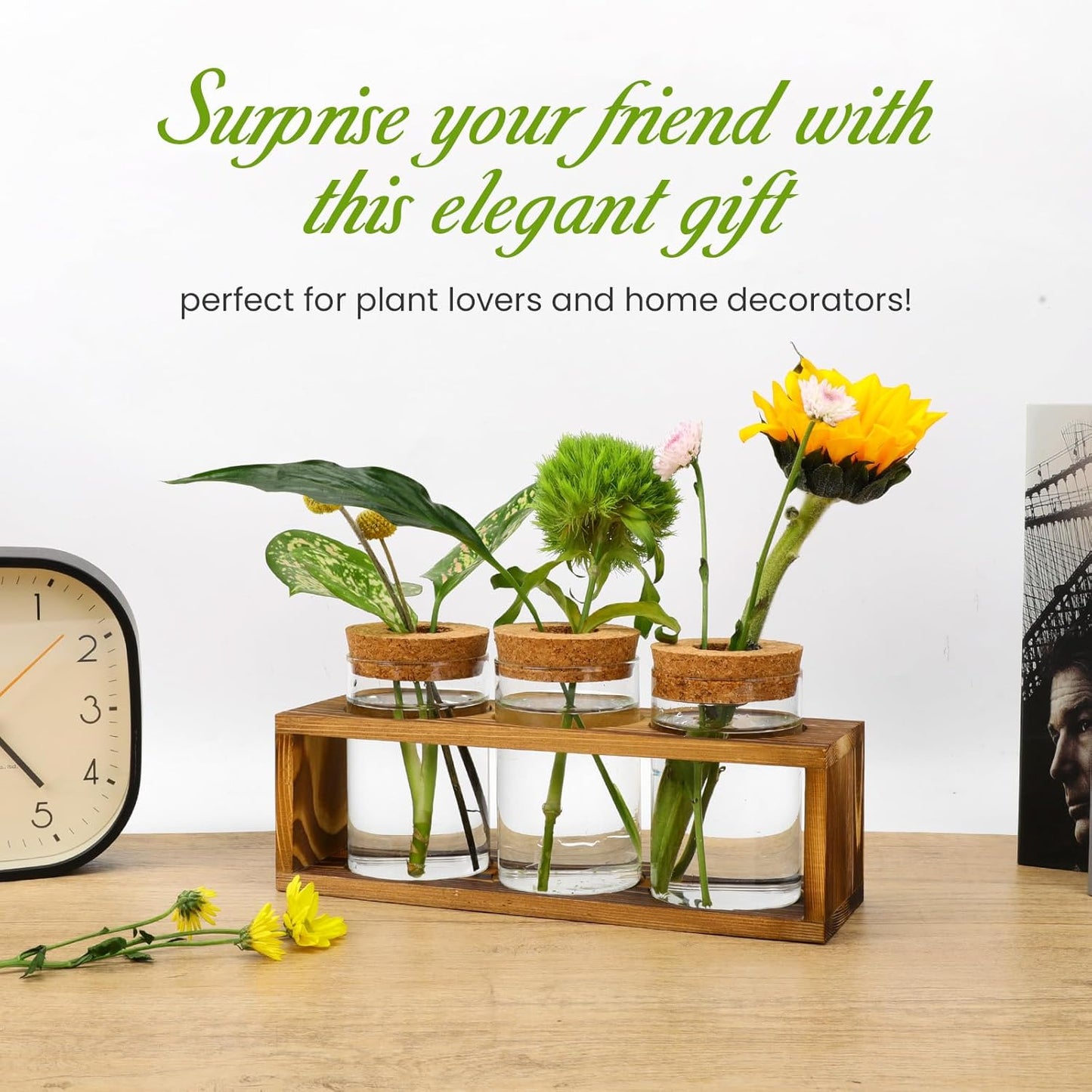 Propagation Stations, Plant Terrarium for Indoor Hydroponic Decor, Glass planters for Fresh Cuttings, Unique Birthday Gifts for Women & Mom, Home/Office Decor