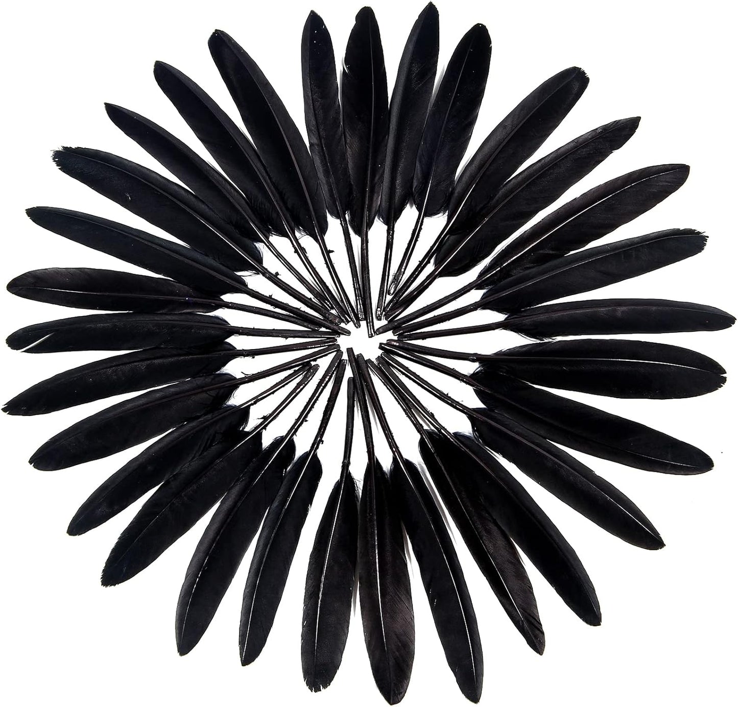 FeelfunFeather 120pcs Black Goose Cochettes Feather Natural Bulk 4-6 inch 10-15cm for Wedding Party Christmas Halloween Decorations DIY Crafts