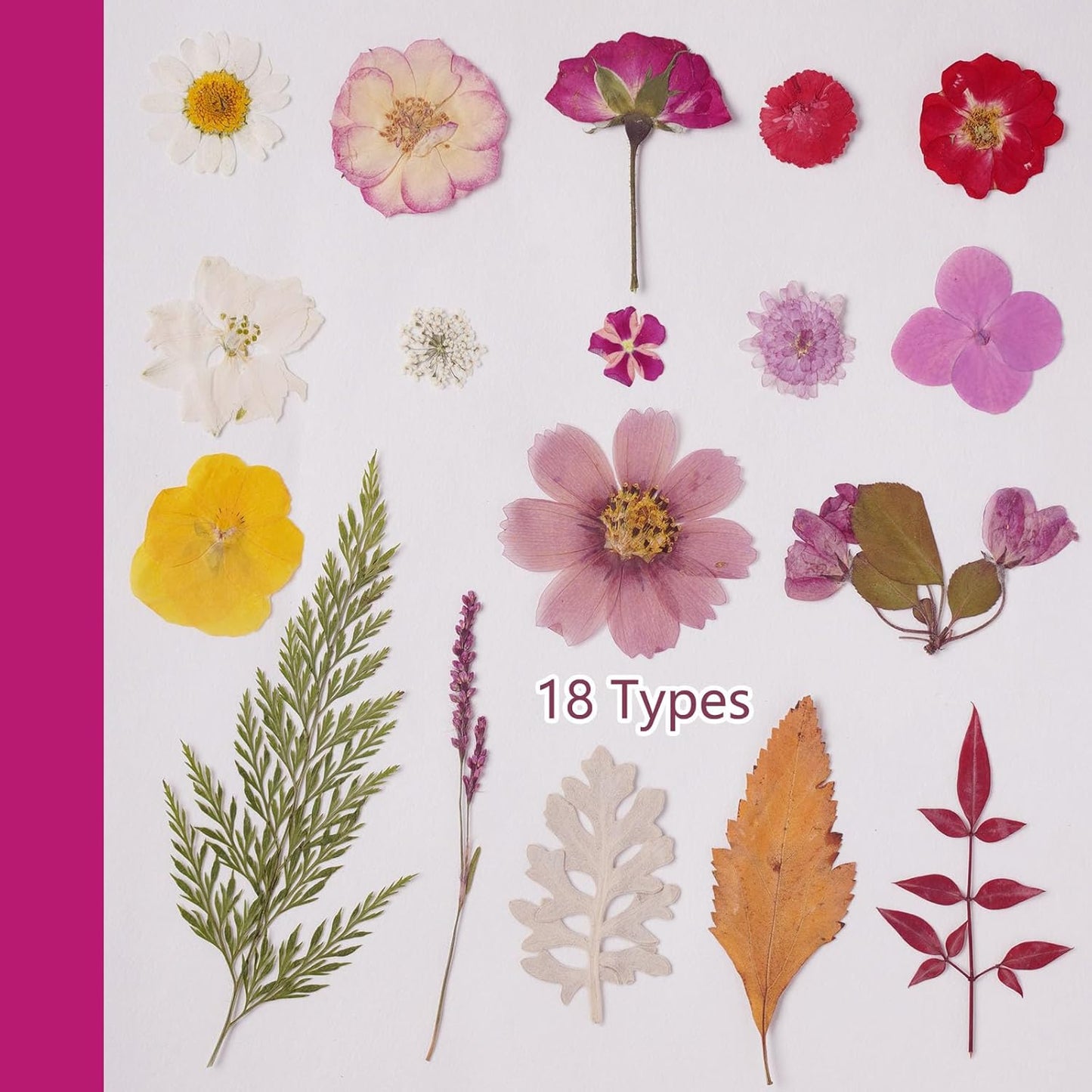 18Types 48PCS Real Dried Purple Pressed Flowers Leaf Plant Herbarium for Crafts Resin Jewelry Making, Floral Cake Decorations-Violet