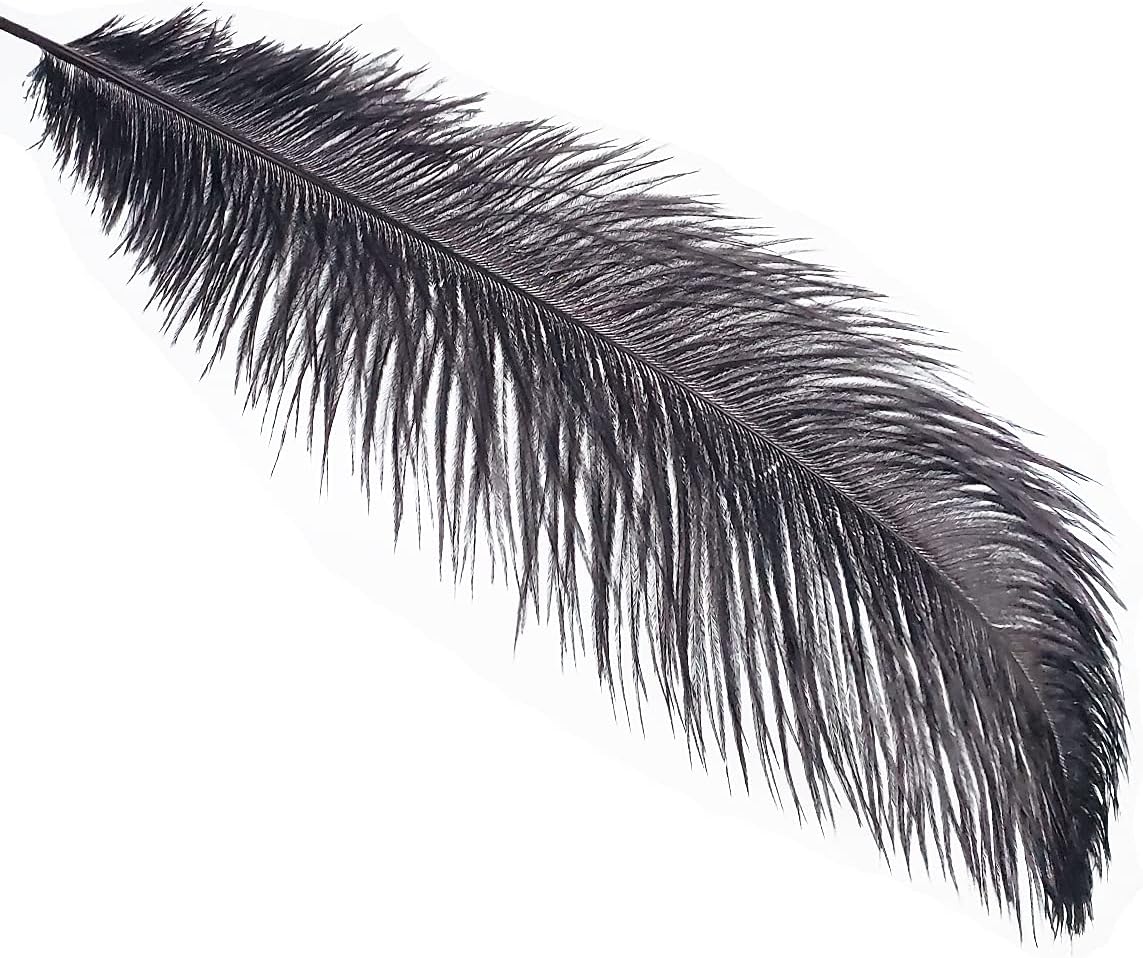 Happy Feather 16-18 inch Black Ostrich Feathers Craft for Wedding Party Centerpieces Home Decoration DIY Craft Pack of 10