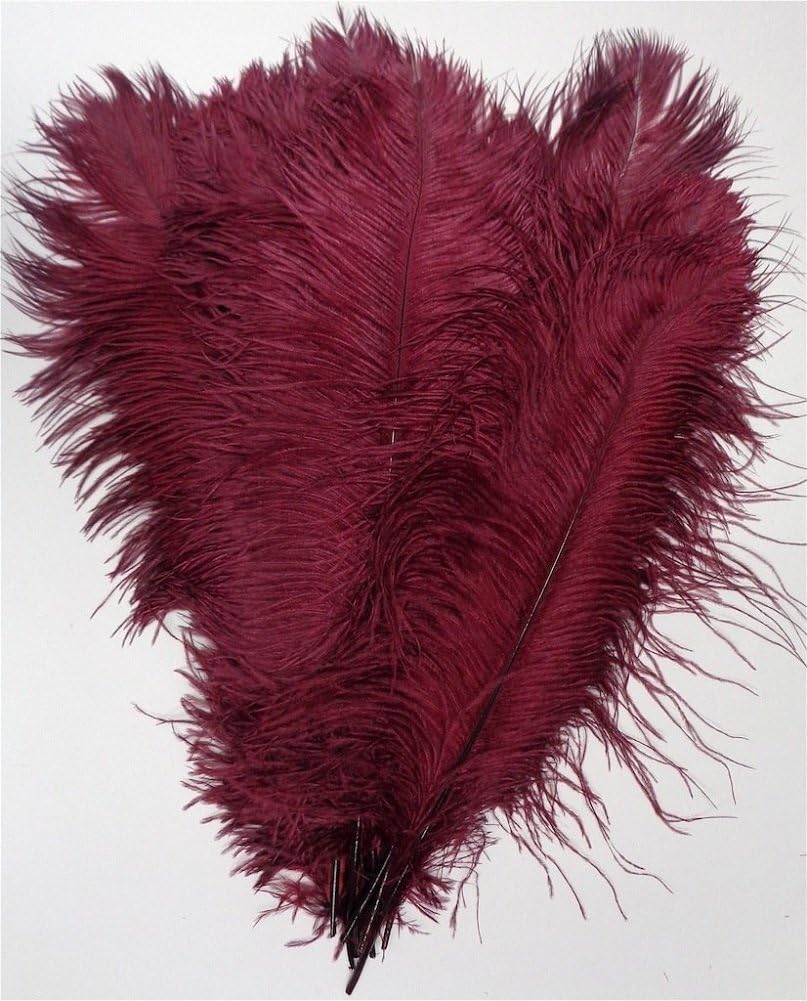KOLIGHT 40pcs 12''~14''(30~35cm) Natural Ostrich Feathers for DIY Home Wedding Party Office Decoration (Burgundy)