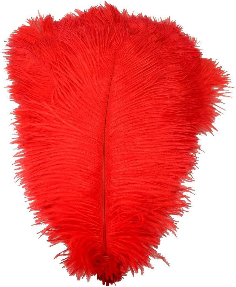 KOLIGHT® 40pcs 12''~14''(30~35cm) Natural Ostrich Feathers for DIY Home Wedding Party Office Decoration (Red)