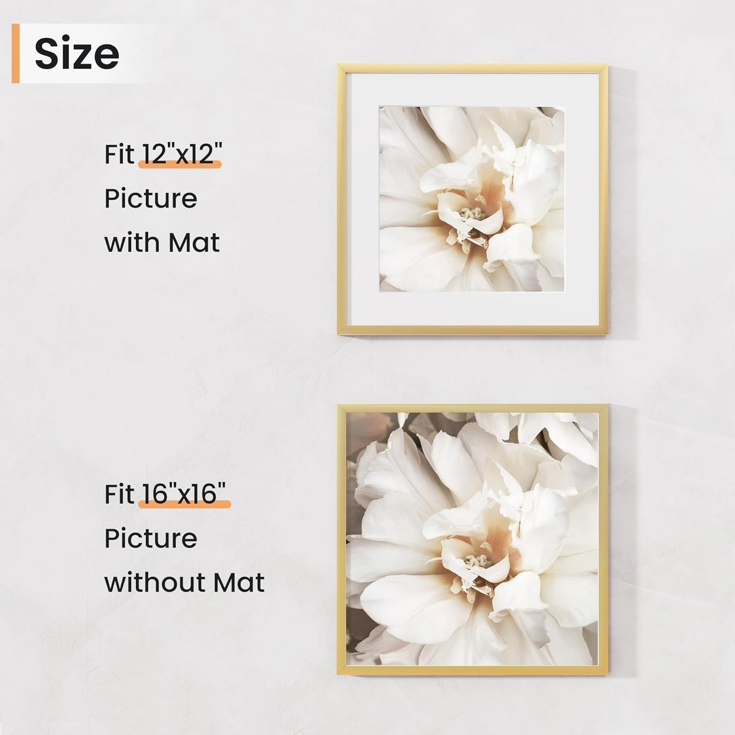 16x16 inch Picture Frame, 16x16 Photo Frames with 12x12 Removable Mat - High Definition Plexiglass - Vertical and Horizontal Display - Wall Hanging Frame - Gold, 5 Pack