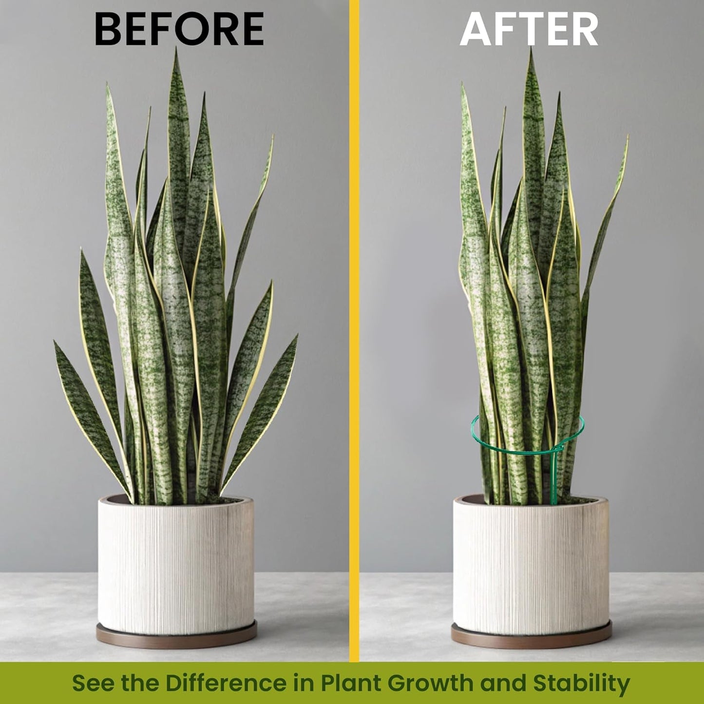 12 Pack Plant Support Stakes – Tall Plant Stakes for Indoor and Outdoor Gardens - Peony Cages and Supports - Cage Rings for Potted Flowers, Peony, Hydrangea, and Rose Bush (10" W x 16" - 24" H)