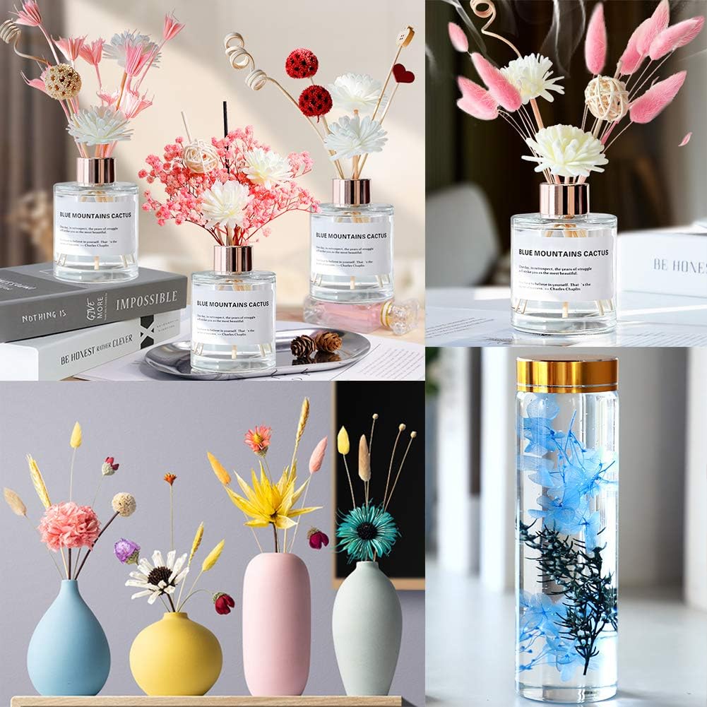 Vignee Real Dried Pressed Leaf Flowers-Multiple Colorful Pressed Flowers Daisies for Craft Resin Jewelry Making Art Craft DIY（Blue & Purple）