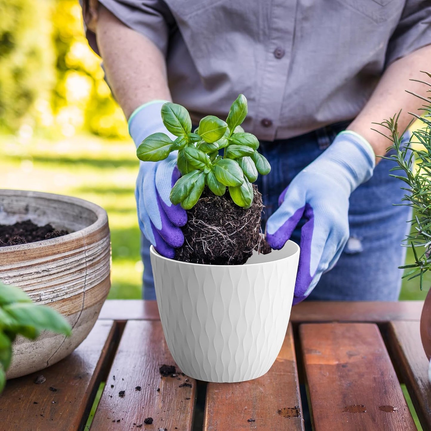 6 inch Flower Pots, 5 Pack Plant Pots with Drainage Holes and Saucers for Indoor Plants, Plastic Planters with Water Ripple for Small Garden House Plants, Nursery Pots for Succulent, White